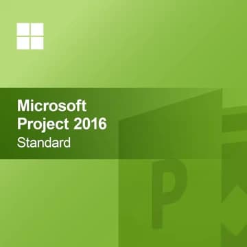Microsoft Project 2013