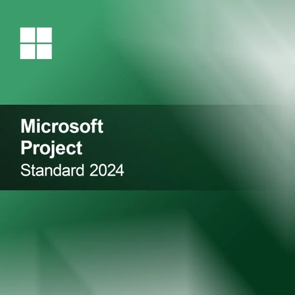 Microsoft Project 2019